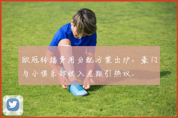 欧冠转播费用分配方案出炉，豪门与小俱乐部收入差距引热议。