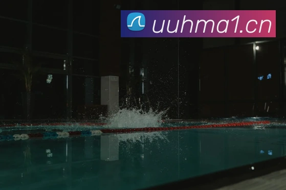 星空体育首页官网发展历程