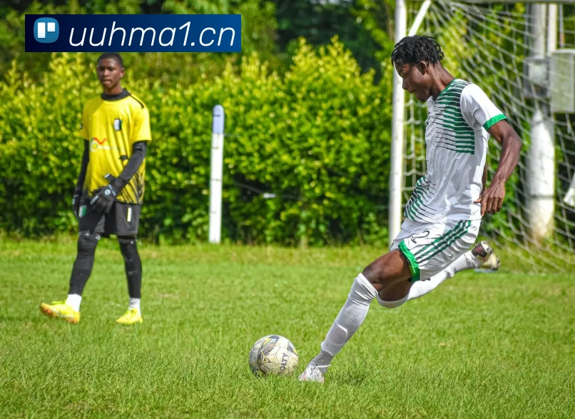 最新NBA赛事视频分析：解读冠军球队战术策略变化